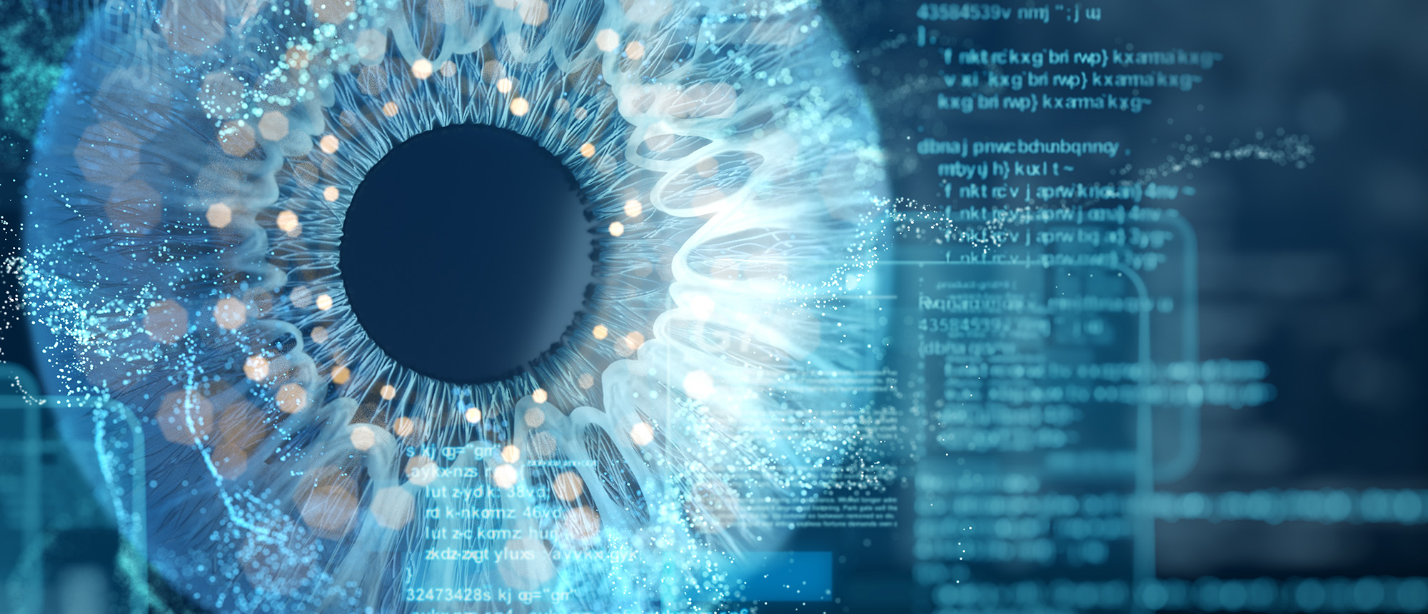 Visualize 2024: Advancements in Ophthalmic Imaging and Research