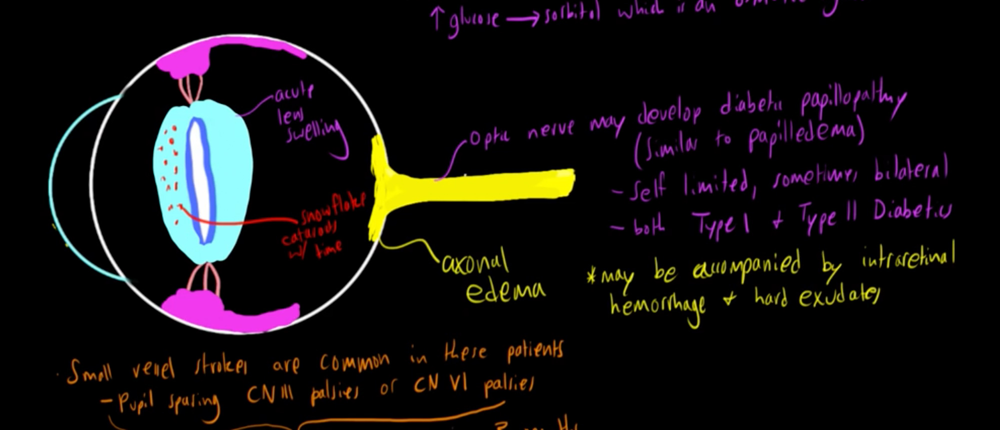 The Eye in Systemic Disease